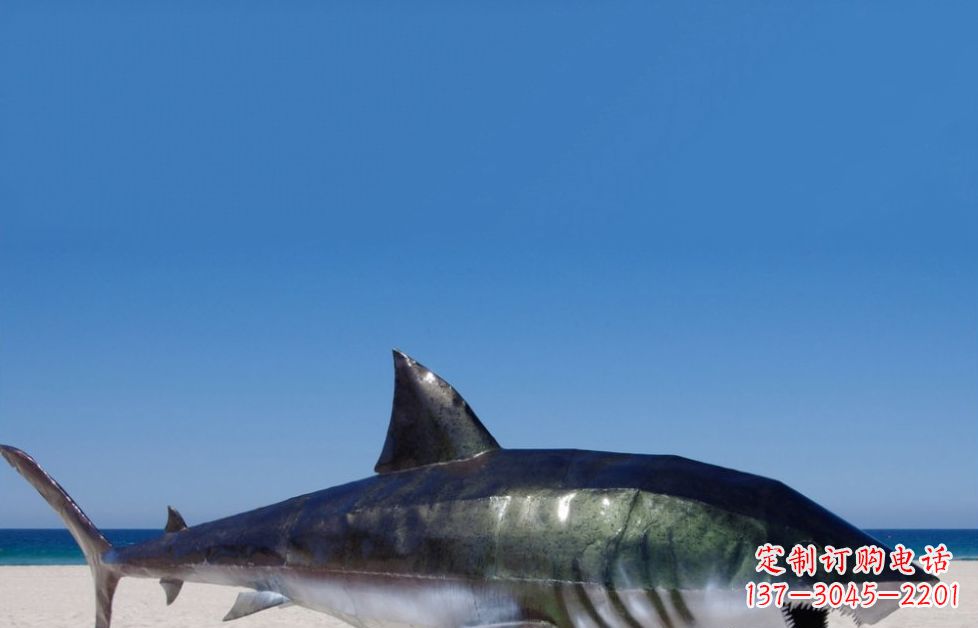 莆田海洋生物之美——不锈钢鲨鱼雕塑