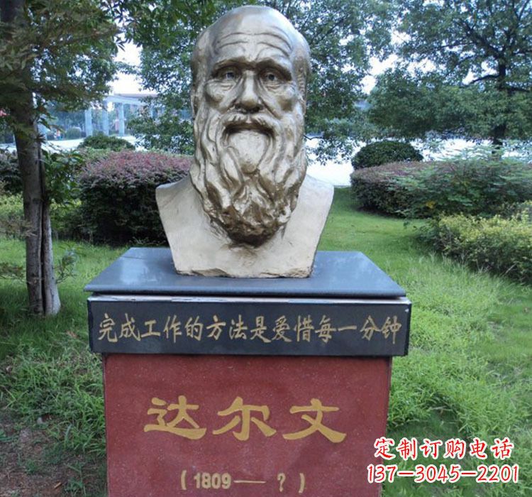 莆田铜雕达尔文头像雕塑